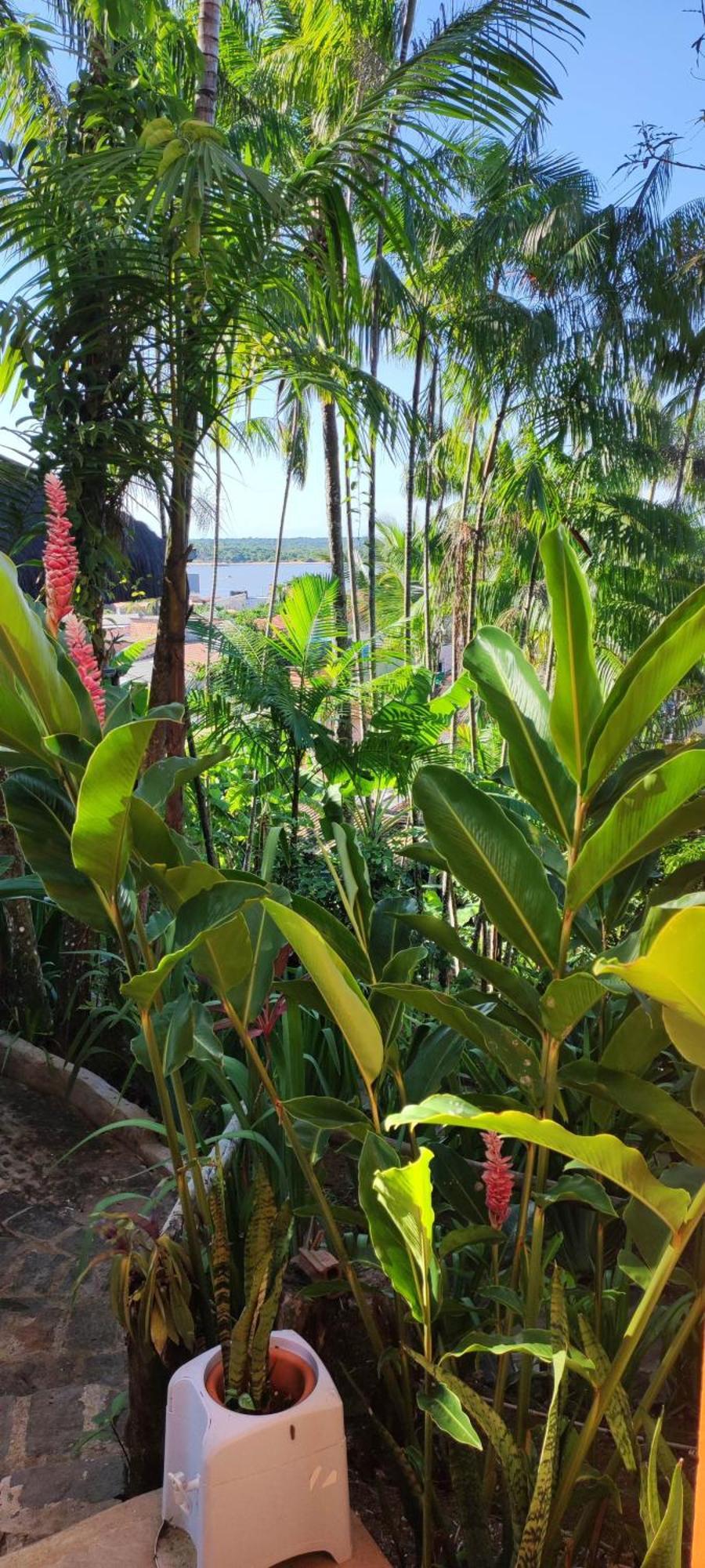 Homestay Zen - Casa Na Floresta *