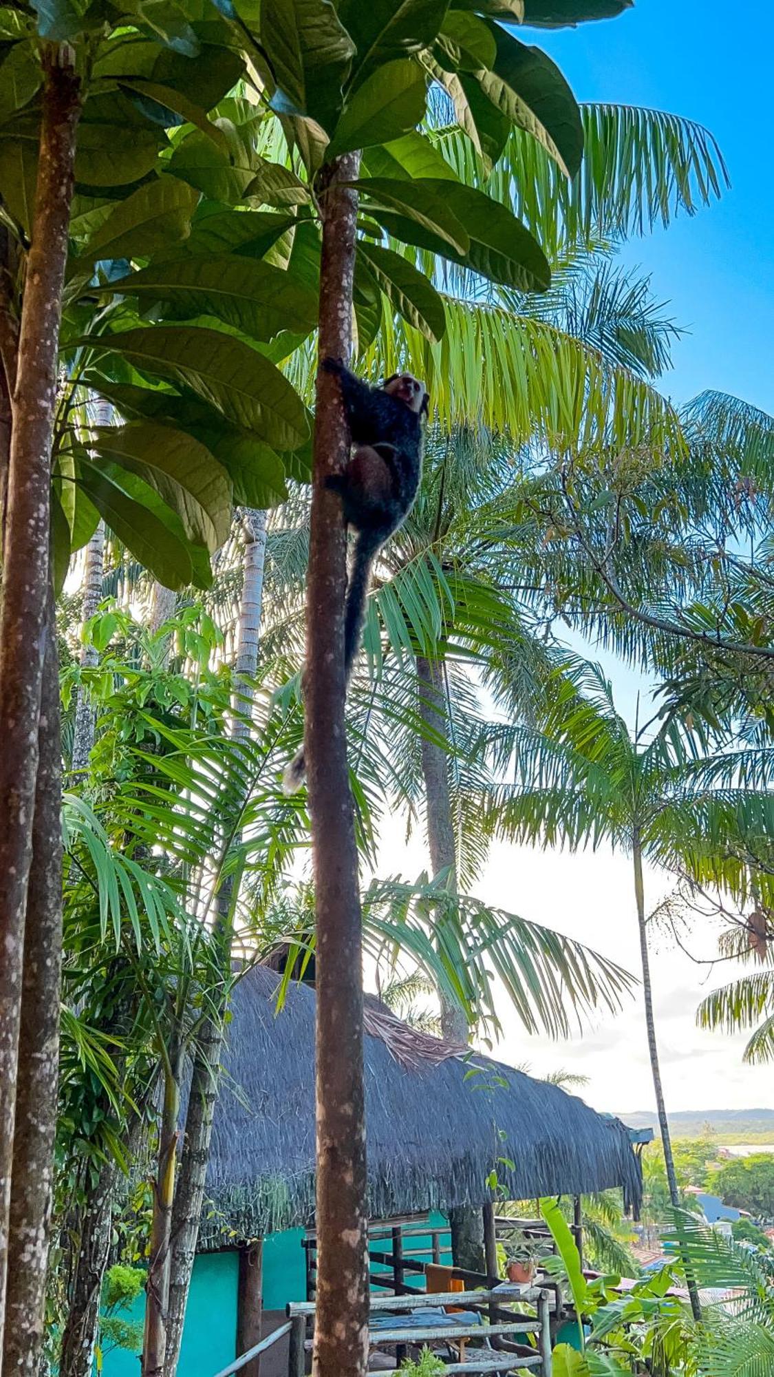 Homestay Zen - Casa Na Floresta