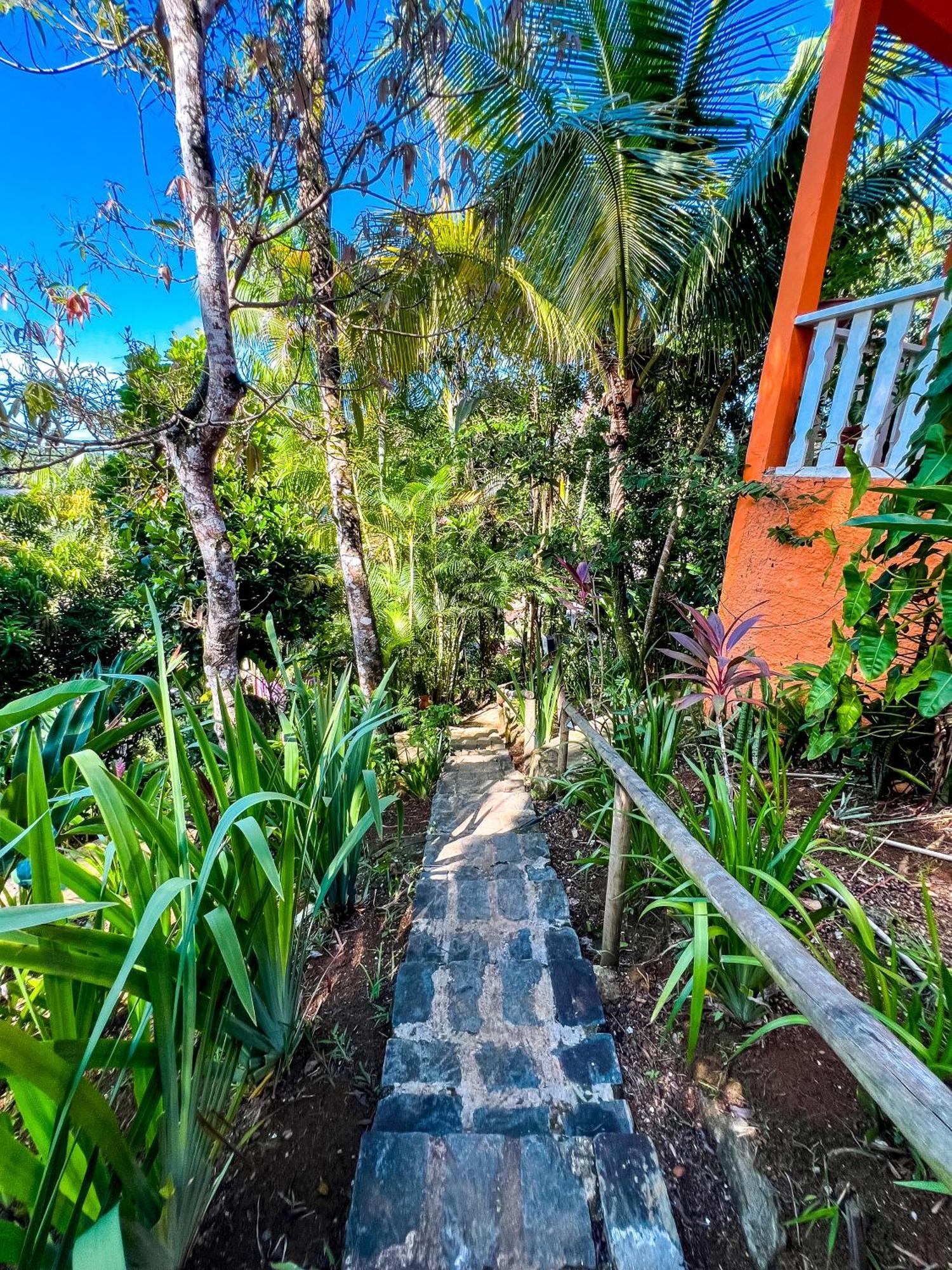 Zen - Casa Na Floresta Homestay *