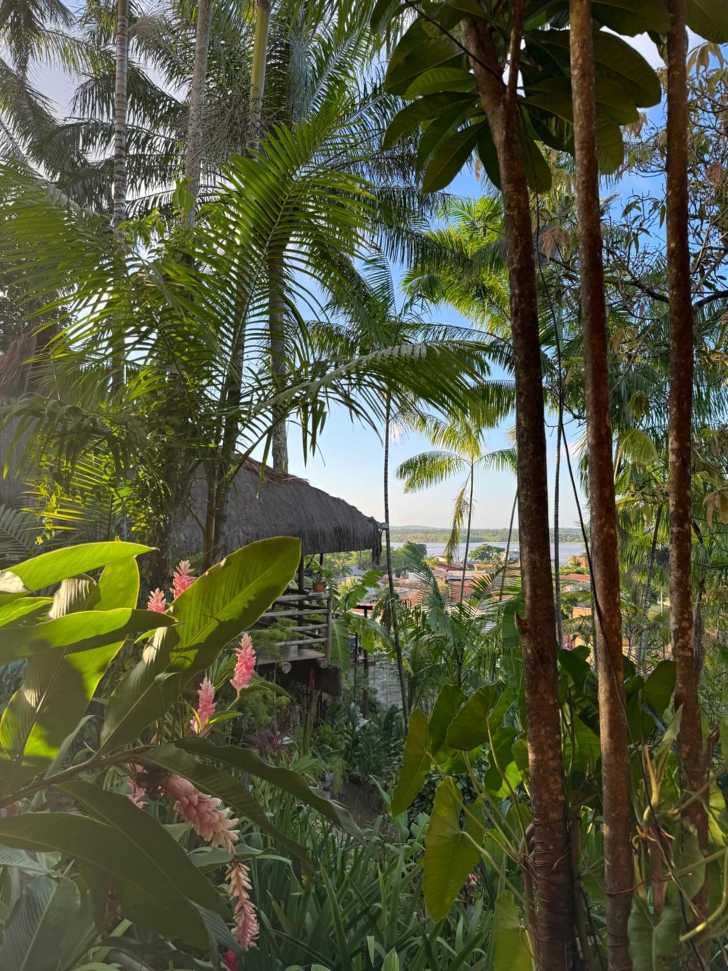 Zen - Casa Na Floresta